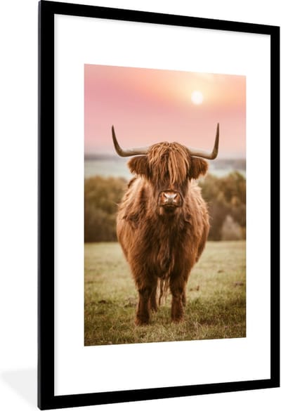 Fotolijst incl. Poster - Zonsondergang - Dier - Schotse hooglander - 80x120 cm - Posterlijst