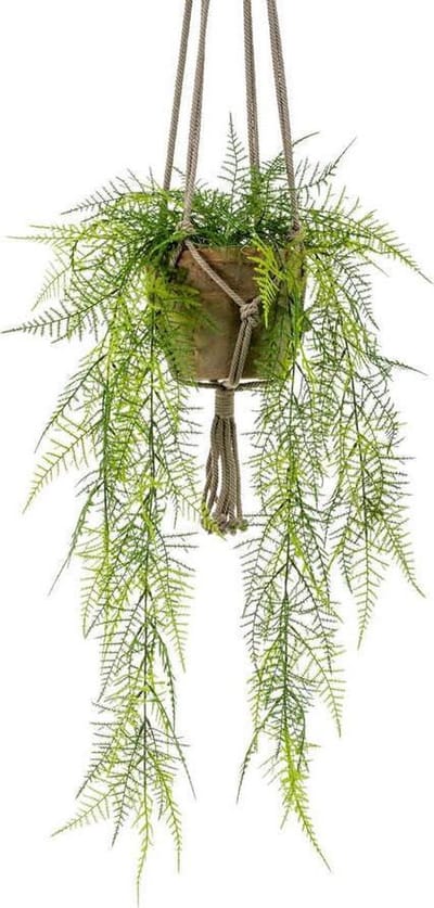 Asparagus Kunst Hangplant 80cm | Levensechte kunstplant | Kunst hangplant | Kunstplant voor binnen