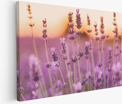 Saammp Muurcirkel Hout - Ijsbeer op Boom - Natuur - Dieren - Ø 90 - Wandcirkel - Wanddecoratie Cirkel - Muurdecoratie Woonkamer - Slaapkamer decoratie - Rond Schilderij
