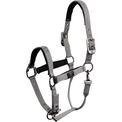 Halster voor paarden BR Equitation CLX