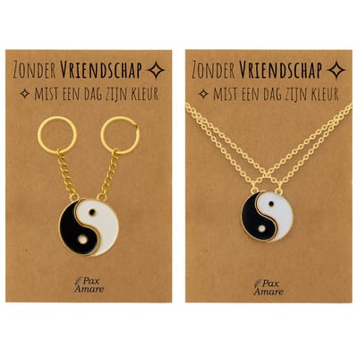 BFF Ketting + Sleutelhanger voor 2 'Zonder Vriendschap mist een dag zijn kleur' - Magnetische Yin Yang - Bundel op Cadeau Kaartje - Goudkleurig - Vriendschap Symbool - Pax Amare
