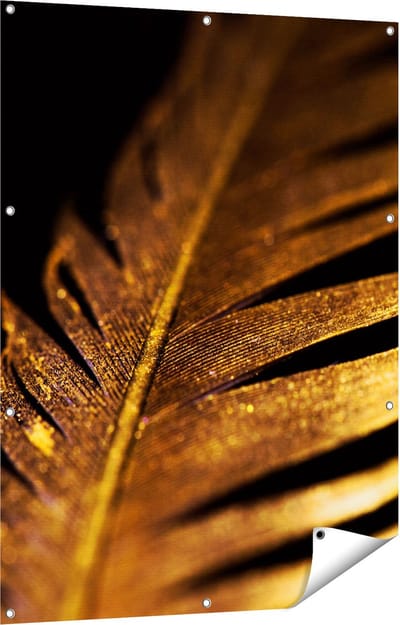 Gards Tuinposter Gouden Veer - 90x120 cm - Tuindoek - Tuindecoratie - Wanddecoratie buiten - Tuinschilderij