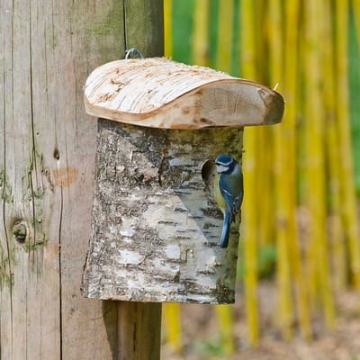 CJ Wildlife Nestkast - Aanbevolen door de Vogelbescherming Nederland - Stockholm - 28mm - Nestkastje voor o.a. Koolmees, Boomklevers & Mussen - Houten Vogelhuisje - FSC-gecertificeerd