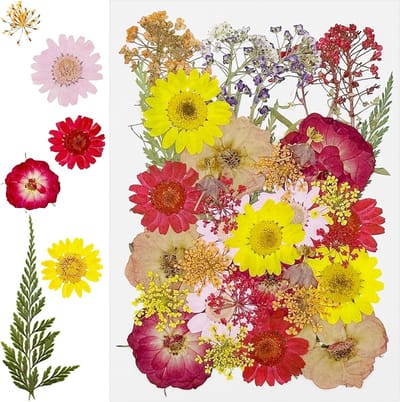 40 Stuks Gedroogde Bloemen voor Natuurlijke Hars, Geperste Rozen en DIY Projecten zoals Kaarsen en Sieraden