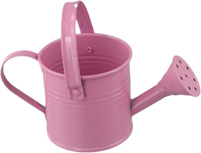 Kleine metalen gieter - Waterkannetje - Planten water geven - Lange tuit ontwerp - 8 cm bovendiameter - Roze