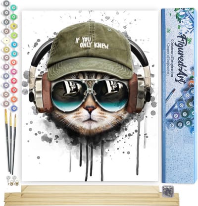 Figured'Art Schilderen op Nummer Volwassenen canvas Kat blijft cool - Handwerk acrylverf Kit DIY Compleet - 40x50cm met DIY houten lijst