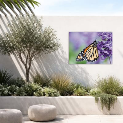 Art for the Home Buitencanvas Vlinder