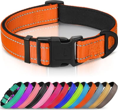Hondenhalsband, breed gevoerd hondenhalsband van neopreen en nylon, verstelbaar hondenhalsband voor grote honden, zacht en reflecterend, XS, oranje