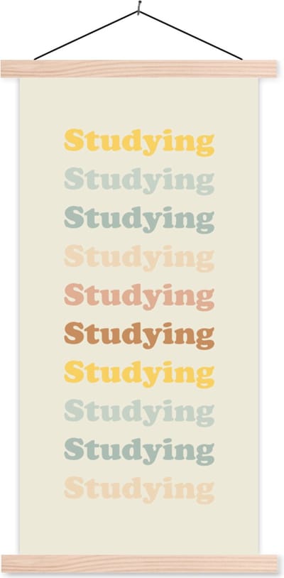 Posterhanger incl. Poster 60x120 cm - Schoolplaat - Motivatie - Quotes - Studenten - School - Textielposter - Blanke latten