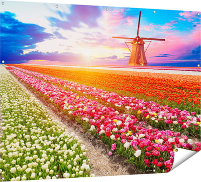 Gards Tuinposter Kleurrijke Bloemenveld met een Windmolen - 160x120 cm - Tuindoek - Tuindecoratie - Wanddecoratie buiten - Tuinschilderij