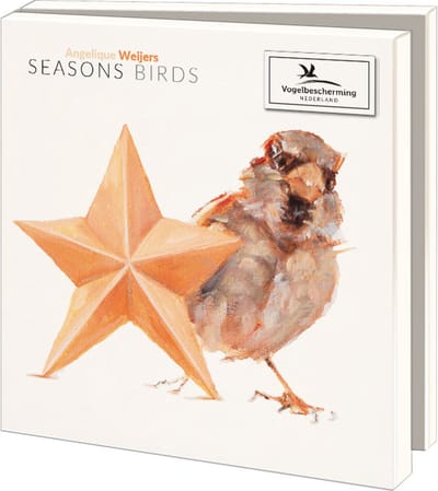 Bekking & Blitz - Kerstkaartenmapje - Set Kerstkaarten - Kunstkaarten - 10 stuks - Inclusief enveloppen – Uniek design - Vogels -Seasons birds - Angelique Weijers - Vogelbescherming
