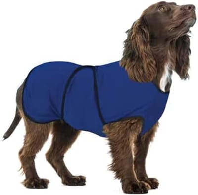 Famanu – Cooling Vest voor Honden - Koelshirt voor Honden - Blauw - Klein