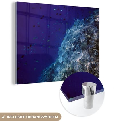 ® Glasschilderij 160x120 cm - Schilderij acrylglas - Koralen in de Celebeszee bij het Nationaal Park Bunaken in Indonesië - Foto op glas - Muurdecoratie woonkamer - Wanddecoratie slaapkamer - Schilderijen