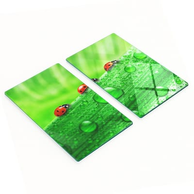 Keukenplanken van gehard glas met lieveheersbeestjesmotief, 2x30x52 cm