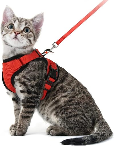 Lexium Kattenharnas - Kattentuigje met looplijn - Katten harnas - Kattenharnas met leiband - Kattenharnas met looplijn - Kattenlijn - Kattentuig