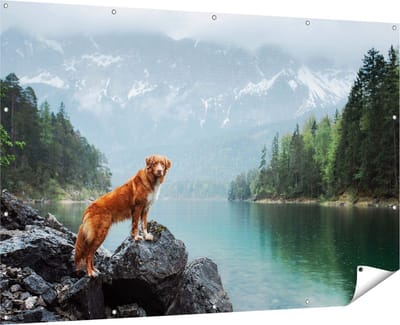 Gards Tuinposter Retriever Hond bij het Water in de Bergen - 180x120 cm - Tuindoek - Tuindecoratie - Wanddecoratie buiten - Tuinschilderij