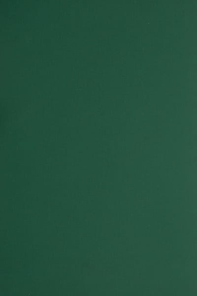 Netuno - groen glad gekleurd papier - A4 - 21 x 29,7 cm - 10 vellen - 330 gram - Plike Green