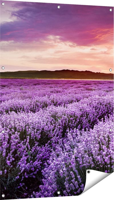 Gards Tuinposter Bloemenveld met Paarse Lavendel - Bloemen - 80x120 cm - Tuindoek - Tuindecoratie - Wanddecoratie buiten - Tuinschilderij