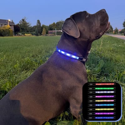 K&G Lichtgevende Halsband Hond - 9 Kleuropties - IPX7 Waterproof - LED - Inclusief Oplaadkabel en Apple AirTag Houder - Maat M - Zwart