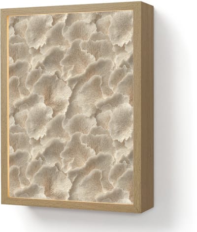 Wandlamp 30x40 cm - Oplaadbaar - Waaierstructuren - Beige - Vezeltextuur - Wandlampen binnen woonkamer - Slaapkamer lamp - Decoratieve nachtlamp - Vloerlamp draadloos