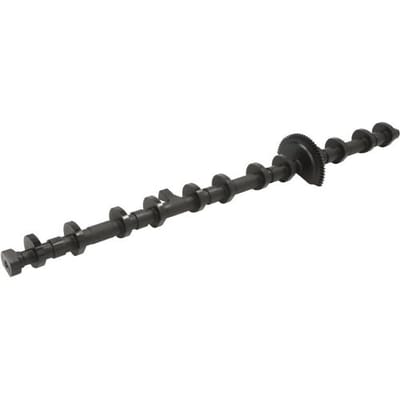 Nokkenas  FRECCIA CM05-2429
