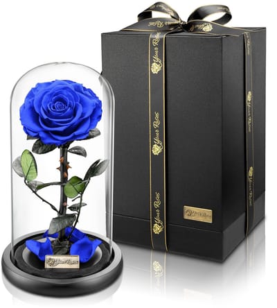 Dailygoods- Roos Premium Geconserveerd - Geschenkdoos - Decoratie - Bruiloft - Valentijnsdag - Lange Houdbaarheid - Geconserveerde Roos