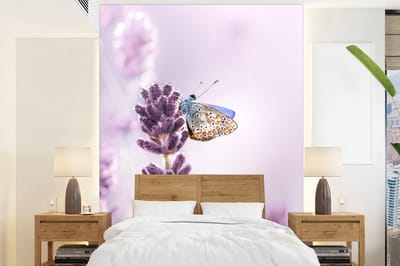 Behang - Fotobehang Lavendel - Vlinder - Close-up - Paars - Breedte 175 cm x hoogte 240 cm