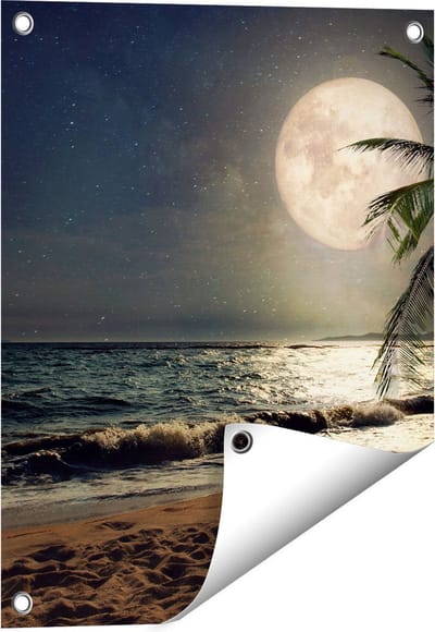 Gards Tuinposter Tropisch Strand in de Nacht met Volle Maan - 40x50 cm - Tuindoek - Tuindecoratie - Wanddecoratie buiten - Tuinschilderij