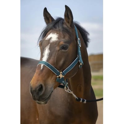 Nylon paardenhalster Equithème light
