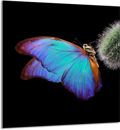TMK ArtDeko - Snijplank van Gehard Glas - 60x65 cm - Motief - Veelzijdig gebruik