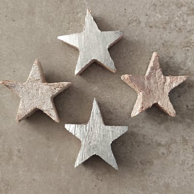 Coconut Star 5 Cm Silver 100 pcs - kerstdecoratie voor binnen - kerst - stukjes - decoratie - kerstster - kokos - coco - ster