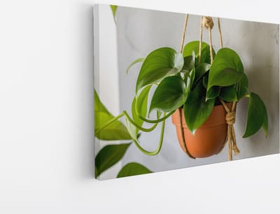 Saammp Canvas Schilderij - Planten aan touw - Bloemen - Abstract - 30x20 - Foto op canvas - Wanddecoratie - Muurdecoratie Woonkamer - Kantoor Decoratie
