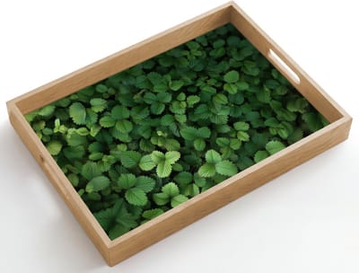 Dienblad hout 50x35 cm - Schootdienblad - Groen - Bladeren - Kartel - Zonlicht - Borrelplank rechthoek - Plateau dienbladen