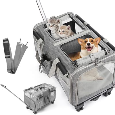 Dailygoods- Huisdierdrager Extra Groot - Opvouwbare Transportbox - Draagtas/Transporter - Voor 2 Katten/Honden - Tot 20 kg - Geventileerd voor Comfort - Dierenbox