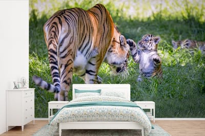 Behang - Fotobehang Dieren - Tijger - Welp - Breedte 390 cm x hoogte 260 cm