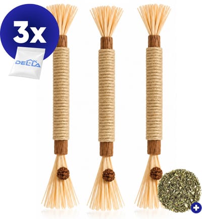 Matatabi Stokjes voor Katten - 3 Stuks + 1 stuks Catnip kattenkruiden - 100% Natuurlijk - Eetbaar Kattenspeelgoed - silvervine dental sticks kat - stressverlichting- kauwstokjes voor katten & Inclusief opberg zakje