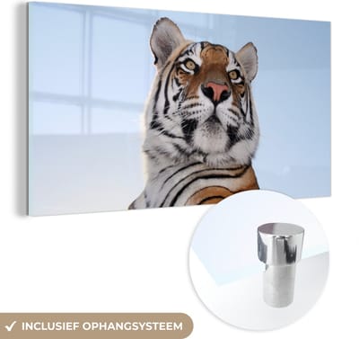 MuchoWow® Glasschilderij 40x20 cm - Schilderij acrylglas - Tijger - Hemel - Kop - Foto op glas - Schilderijen