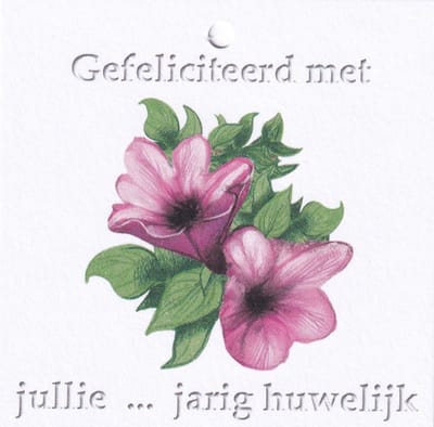 Bloemenkaartjes - 25 Stuks - Mini Kaartjes - 7 x 7 cm - Bloemist - Kadootjes - Gefeliciteerd met jullie ... jarig huwelijk - JK-157