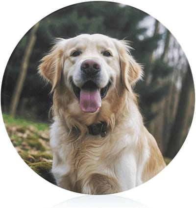 Hakblokken, grappige Golden Retriever bedrukt hakblok, fruit hakblok, verdikt hakblok, rond hakblok