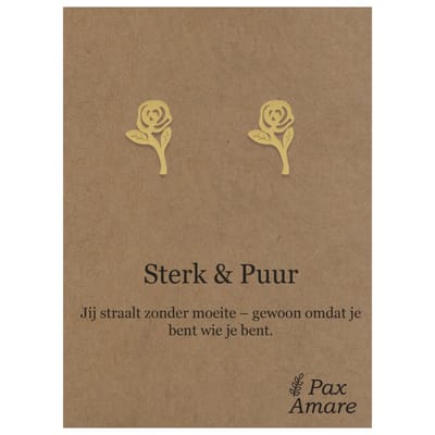 Stainless Steel Roos Oorbellen op Cadeau Kaartje - Sterk & Puur - ± 10x10mm Oorknopjes Zilverkleurig Roestvrij Staal - Pax Amare
