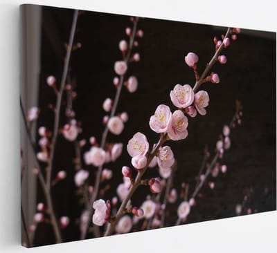 Saammp Canvas Schilderij - Roze bloesem aan tak - bloemen - 30x20 - Foto op canvas - Wanddecoratie - Muurdecoratie Woonkamer - Kantoor Decoratie