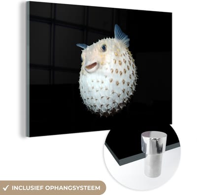 MuchoWow® Glasschilderij 150x100 cm - Schilderij acrylglas - Vis - Zeedieren - Portret - Foto op glas - Schilderijen