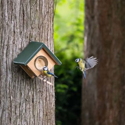 CJ Wildlife Pindakaaspothouder voor Vogels - Cork - Vogelpindakaas Houder met Gewichtssysteem - Vogelvoederhuisje Pindakaas - Wandmodel - Bruin/Groen