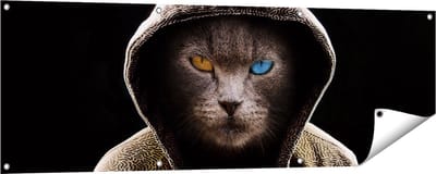 Gards Tuinposter Boze Kat Draagt een Hoodie - 150x50 cm - Tuindoek - Tuindecoratie - Wanddecoratie buiten - Tuinschilderij