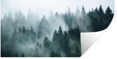 Muurstickers - Sticker Folie - Mist - Bomen - Bos - 40x20 cm - Plakfolie - Muurstickers Kinderkamer - Zelfklevend Behang - Zelfklevend behangpapier - Stickerfolie
