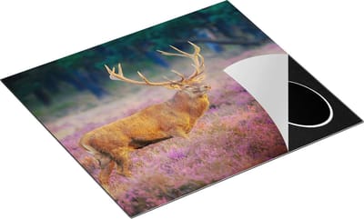 Chefcare Inductie Beschermer Hert in de Weide tijdens Zonsondergang - 60x50 cm - Afdekplaat Inductie - Kookplaat Beschermer - Inductie Mat