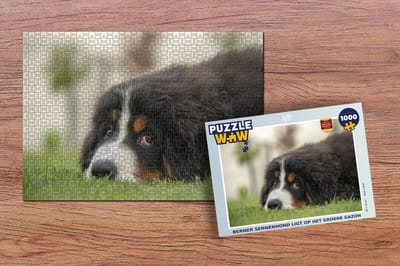 Puzzel Berner Sennenhond ligt op het groene gazon - Legpuzzel - Puzzel 1000 stukjes volwassenen