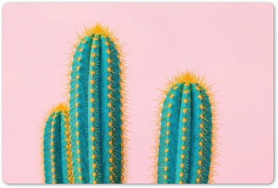 Placemats 45x30 cm - Placemat kunststof - 1 stuk - Cactussen - Modern - Pastel - Borden onderleggers - Decoratie voor op tafel - Keuken tafeldecoratie accessoires - Vinyl onderlegger - Tafelversiering