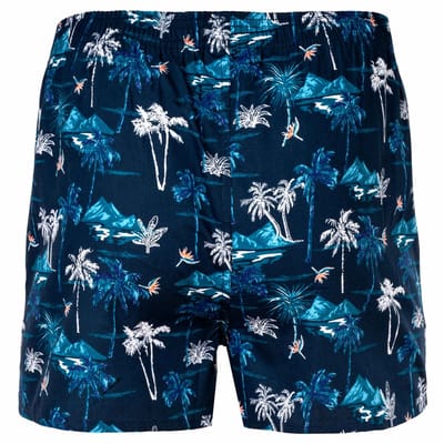 Happy Shorts Geweven boxershorts American Boxershorts Set van 1