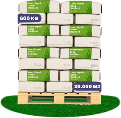 Herstelgazon Graszaad Snelkiemend (600kg, 3 ha) Organifer - Gazonzaad - Graszaad Herstel en Doorzaai - Herstel Graszaad - Gazon Herstel - Graszaden voor Alle Gazontypes - Zelfherstellend - Hoge Betredingstolerantie - NAK Gecertificeerd